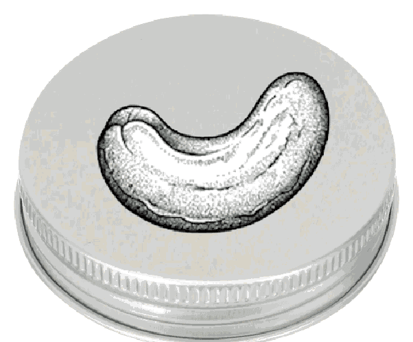 Milk de Cashew cap ingredient illustration
