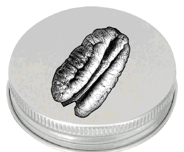 Nut Pecana Tostada cap ingredient illustration